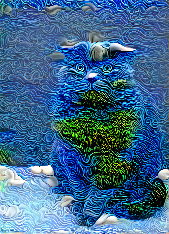 cloudy cat