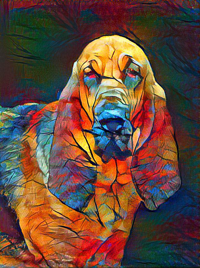 My bloodhound girl Carmen