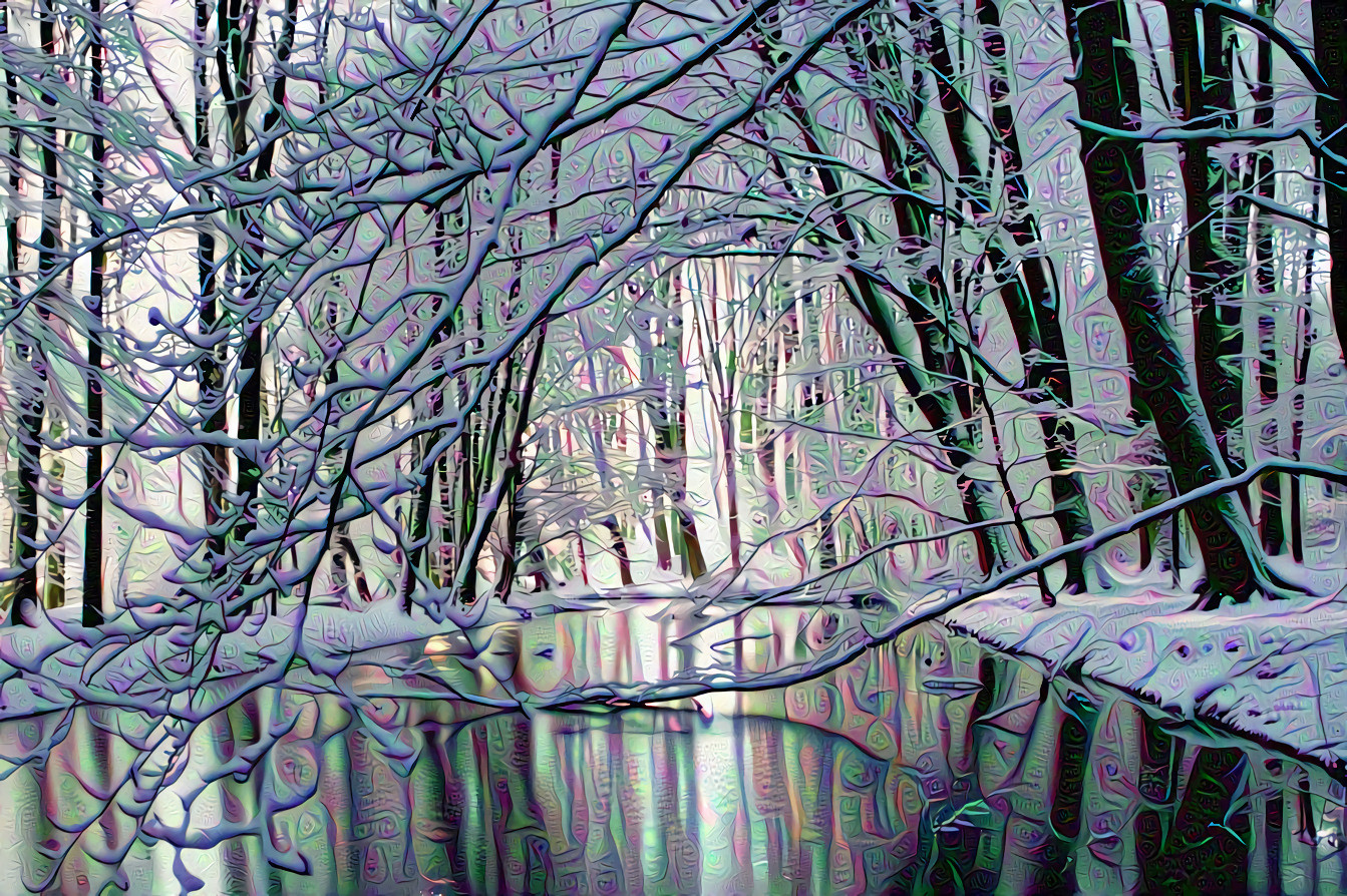 Snow Covered Forest and Creek