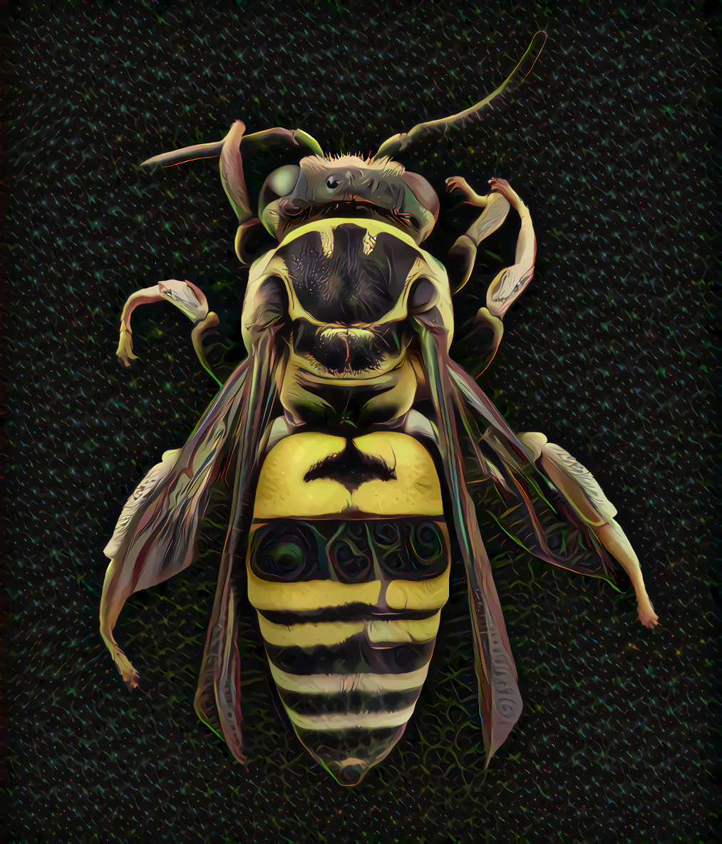 Batman Bee