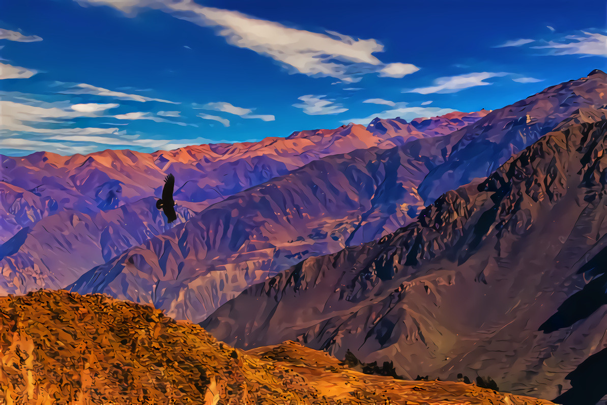 Condor over Colca Canyon, Peru