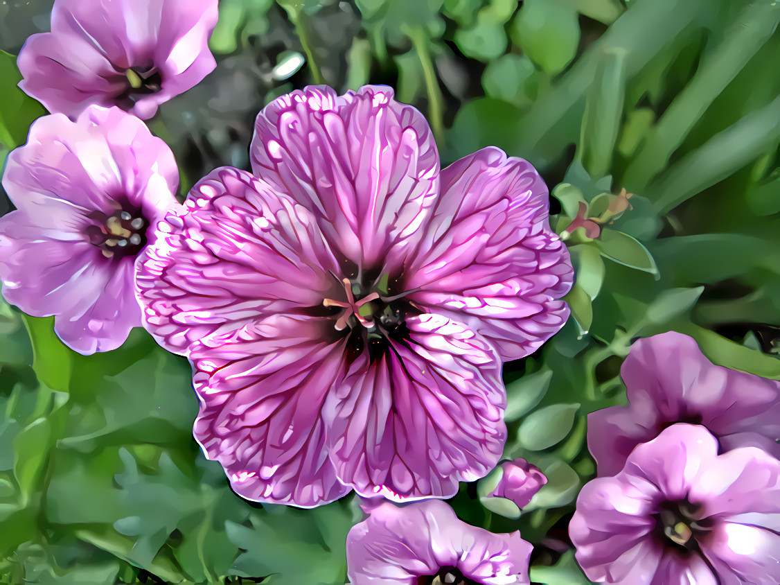 Tiny Blossoms in our garden