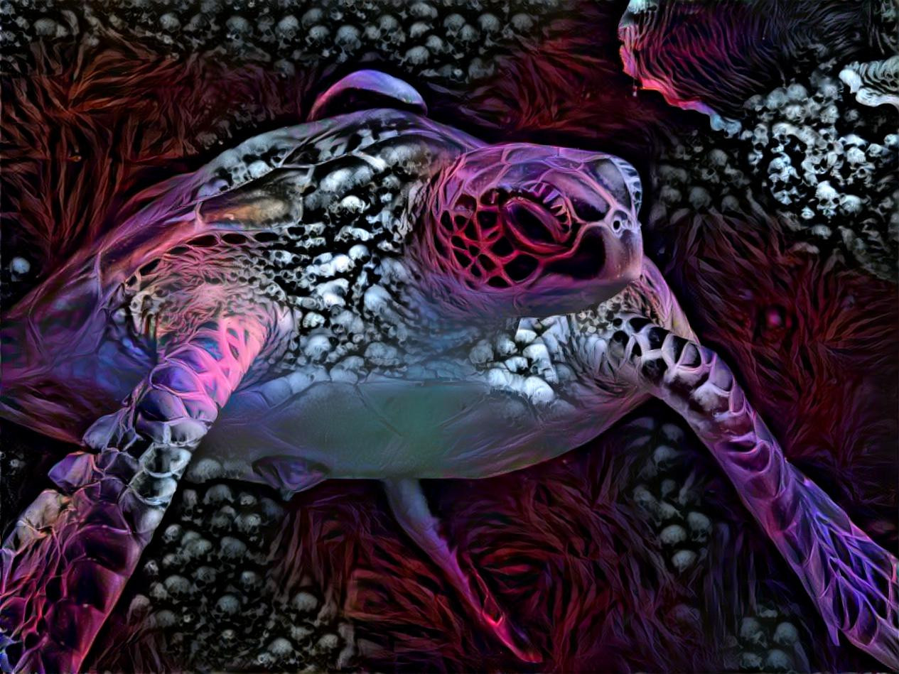 Singing sweet savages lost in our world- This big eyed girl sees her faces unfurl- Now's shes in purple, now's shes the turtle- Distintegrating ~Siouxsie and the Banshees~ Photo: Earlean McKendrick- Style is one I made.