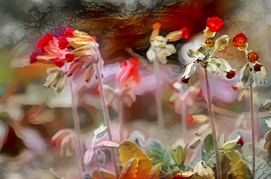 Blowing in the Wind Red Cowslips