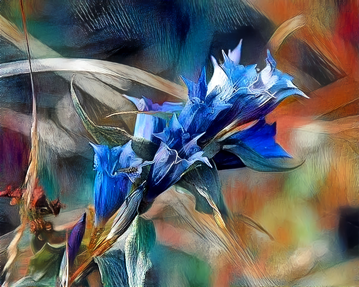 Blue Gentian