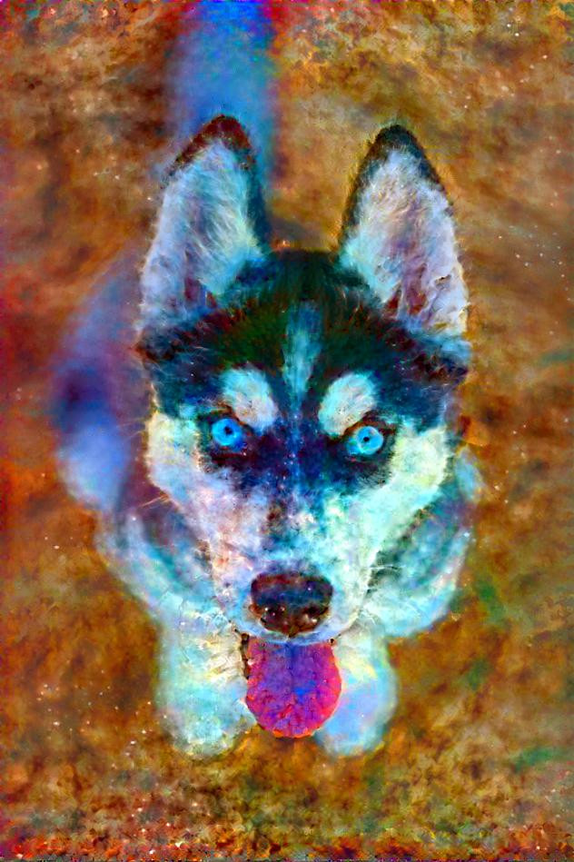 Husky in the galaxy.