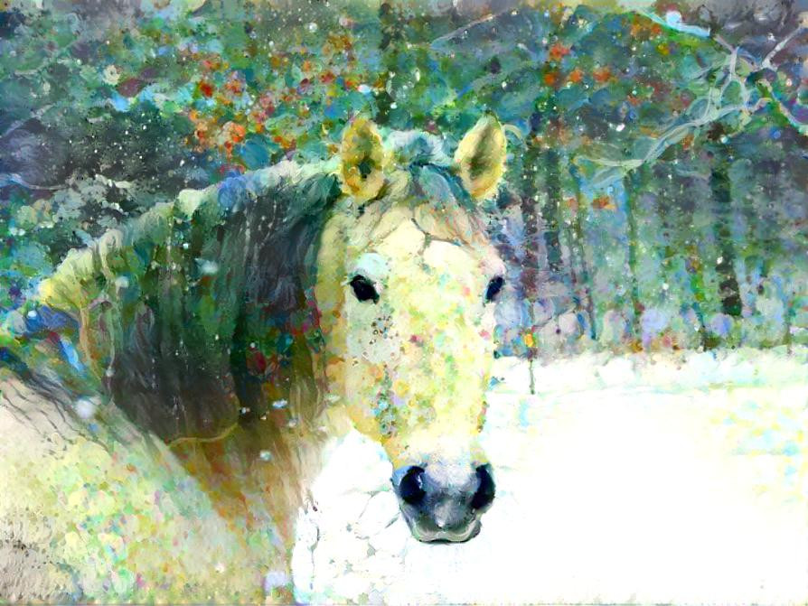  Horse in the winter