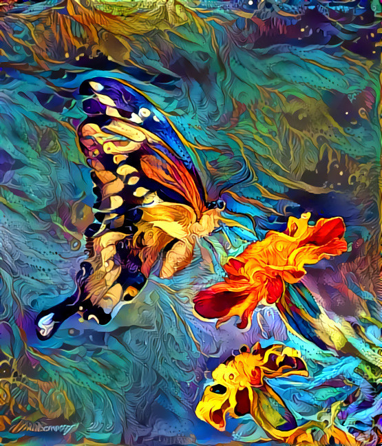 Butterfly Flights