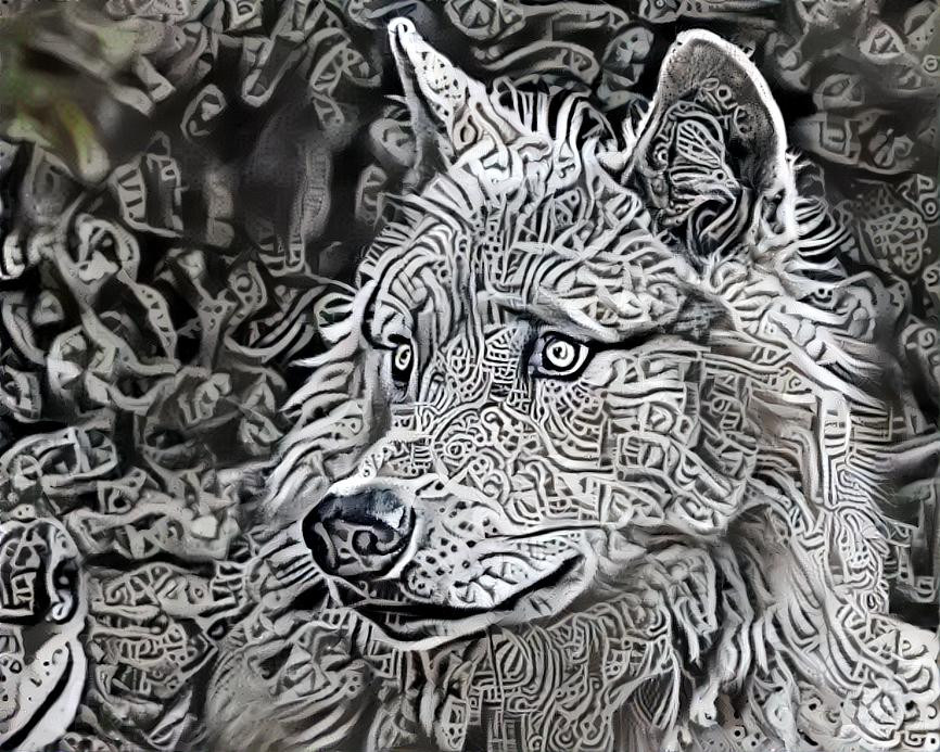 coin wolf