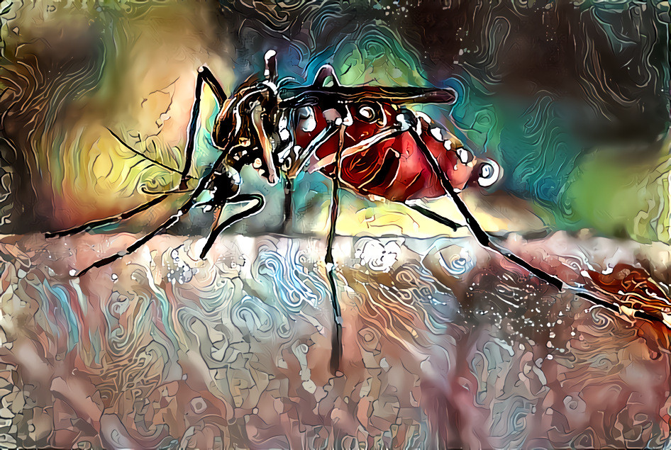 Mosquito