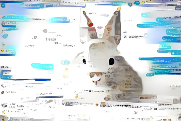 Social bunny