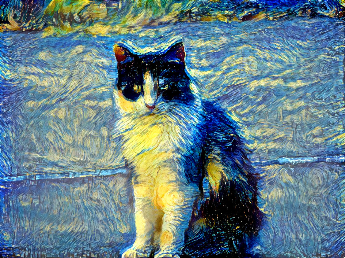 Accidental Starry Night Cat