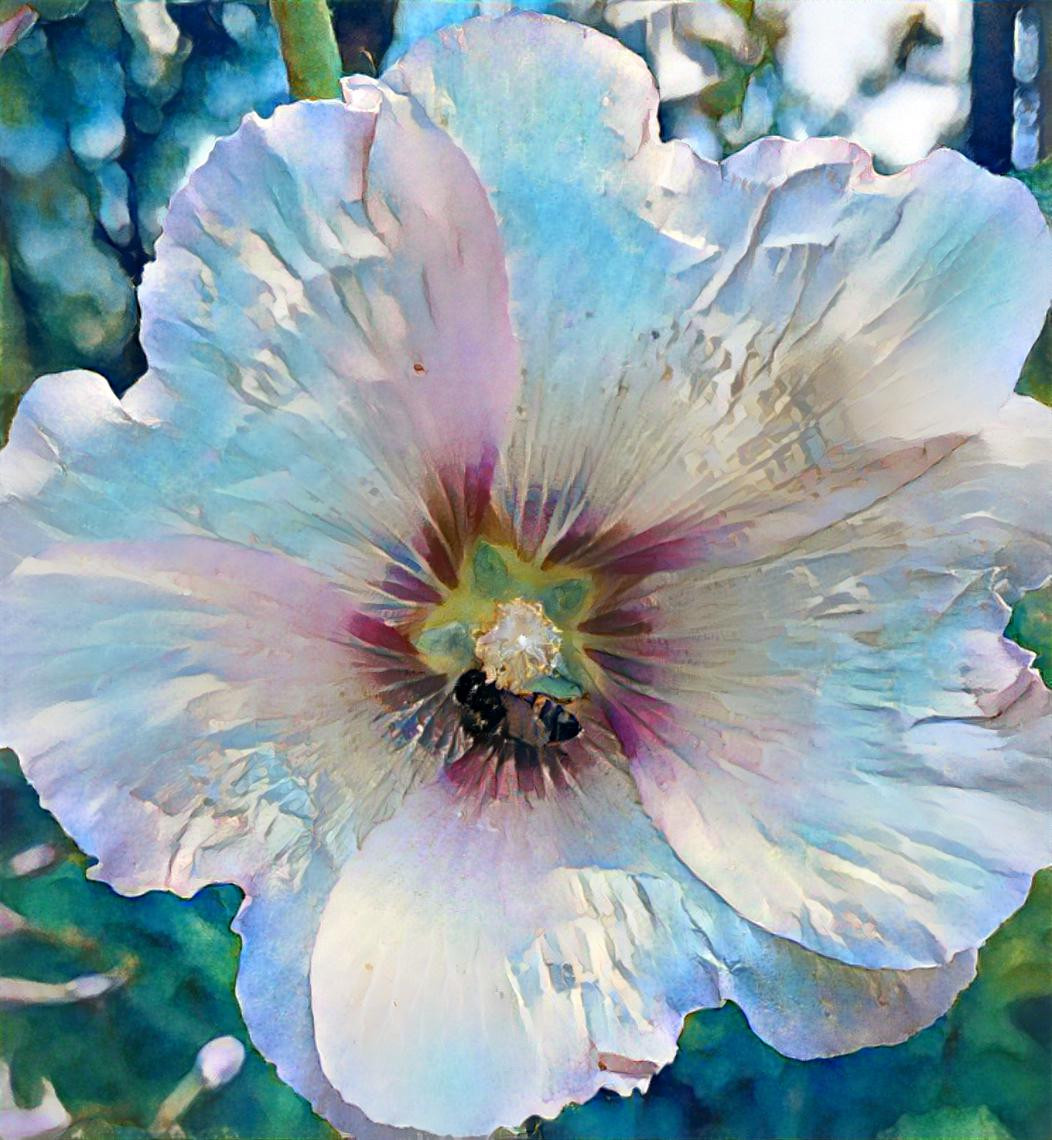 Hollyhock