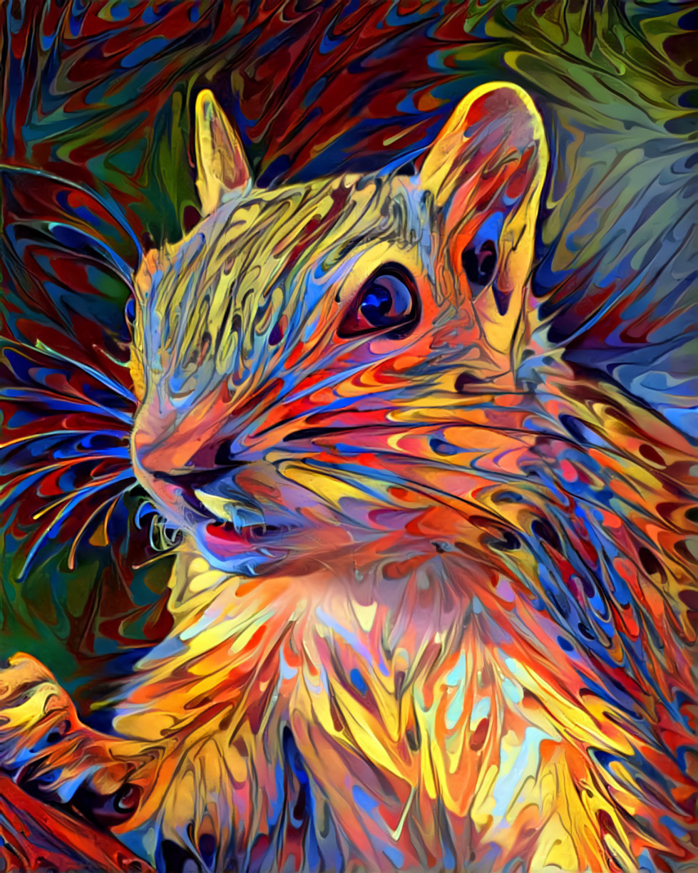 Squirrel