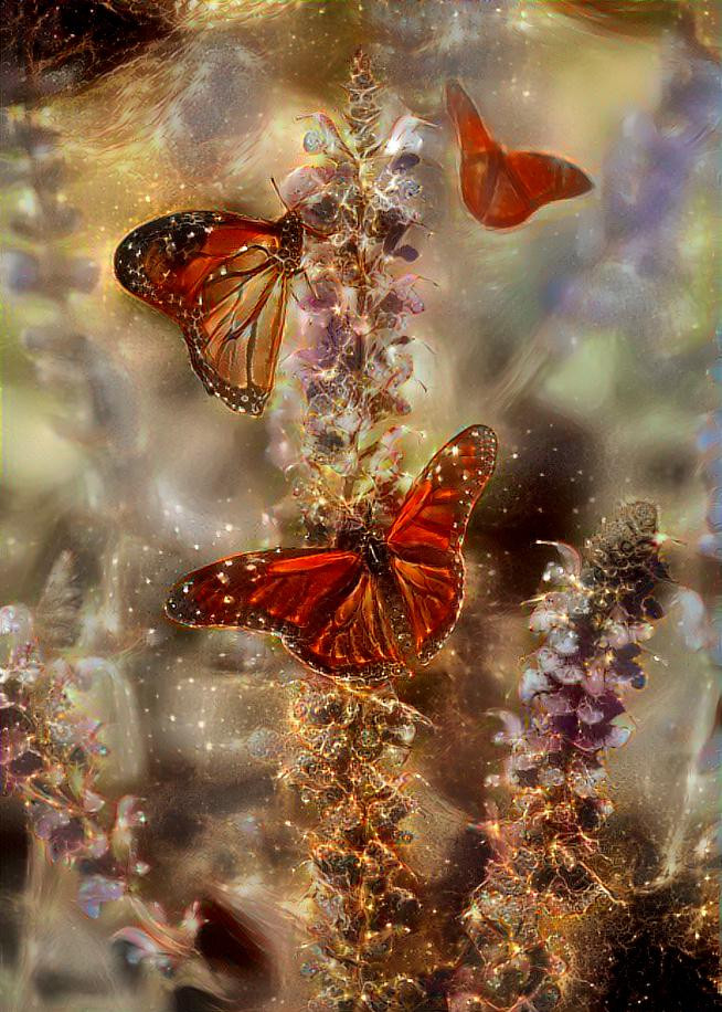 Butterfly Art