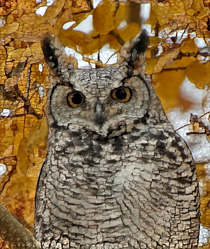 Owl