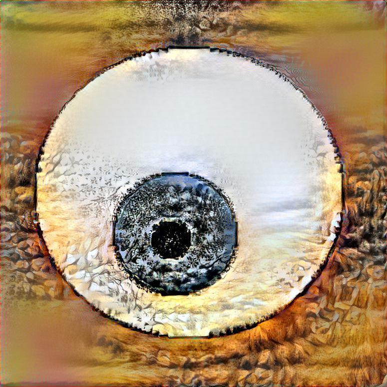 Eye