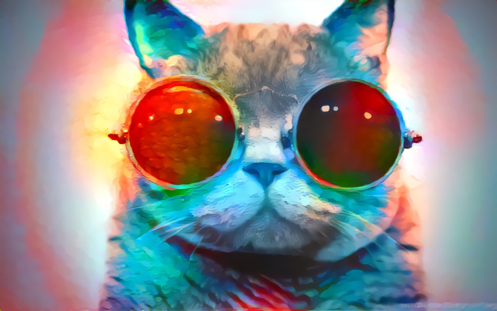 Cool Cat