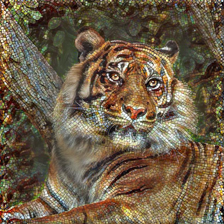 ~ Tiger, Untitled ~