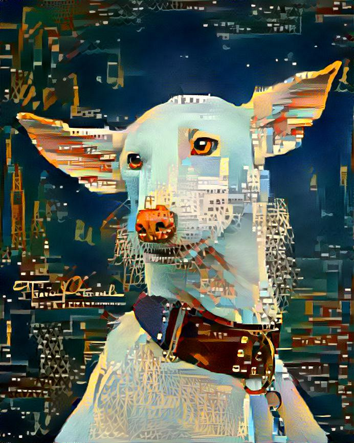 retro podenco