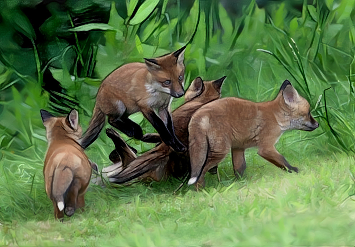 Kits at Play