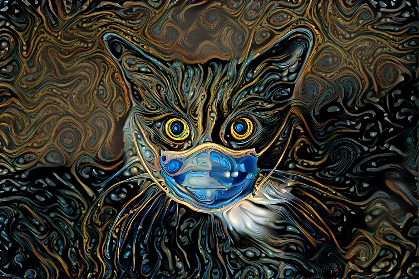 Cat Mask