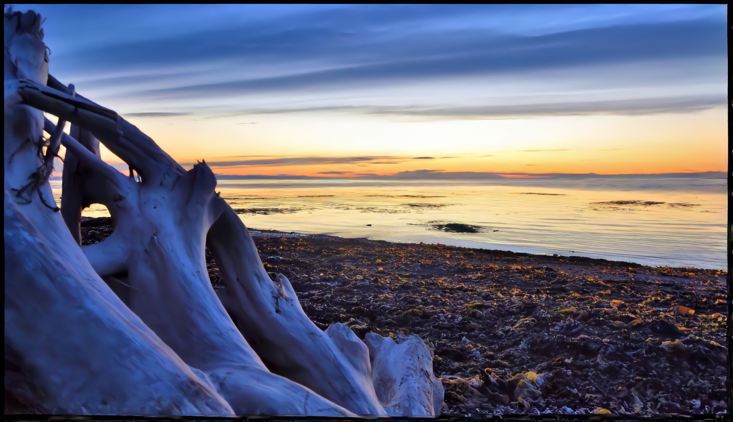 Driftwood, Beach, Sunset