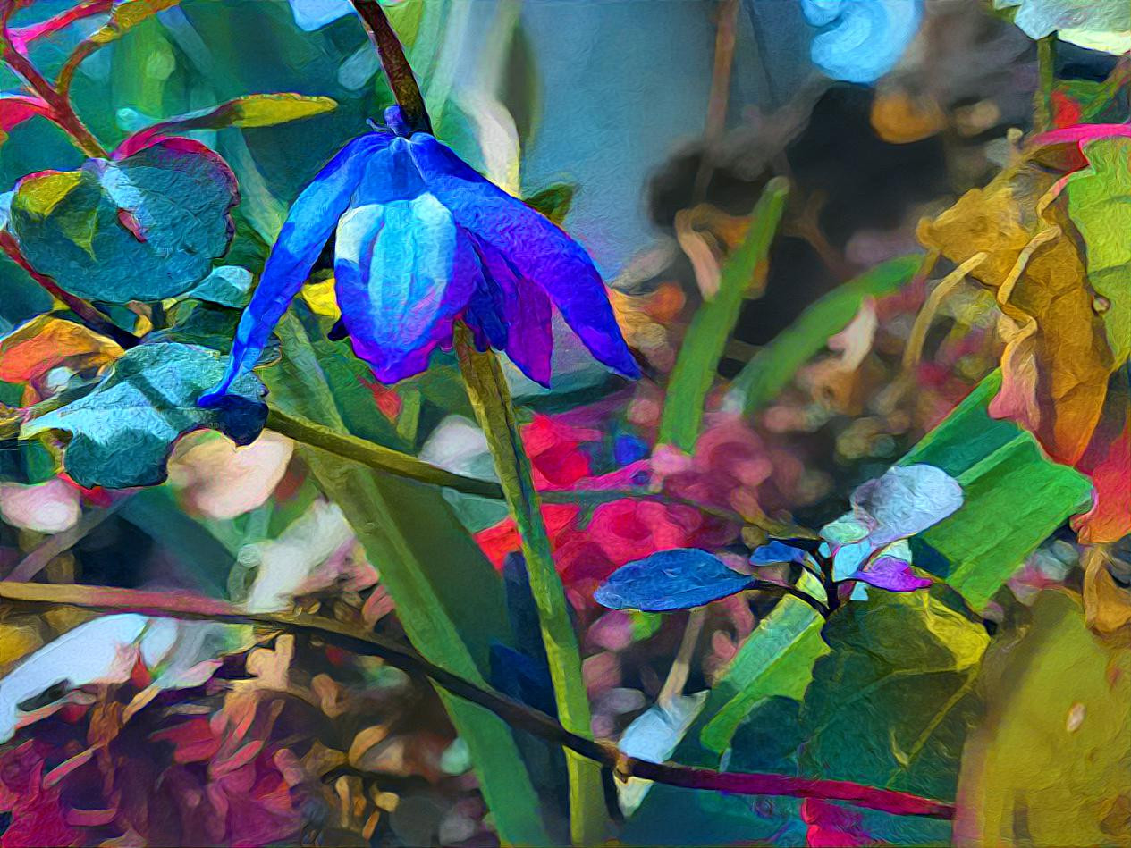 tiny spring flower with vibrant color