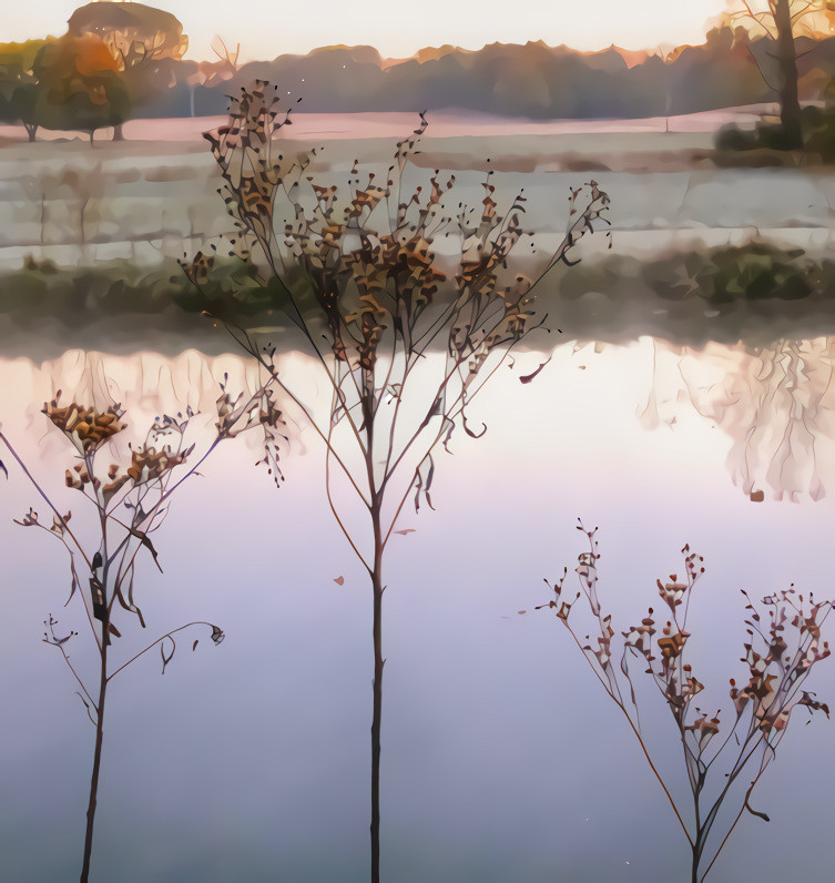 Indiana Dawn