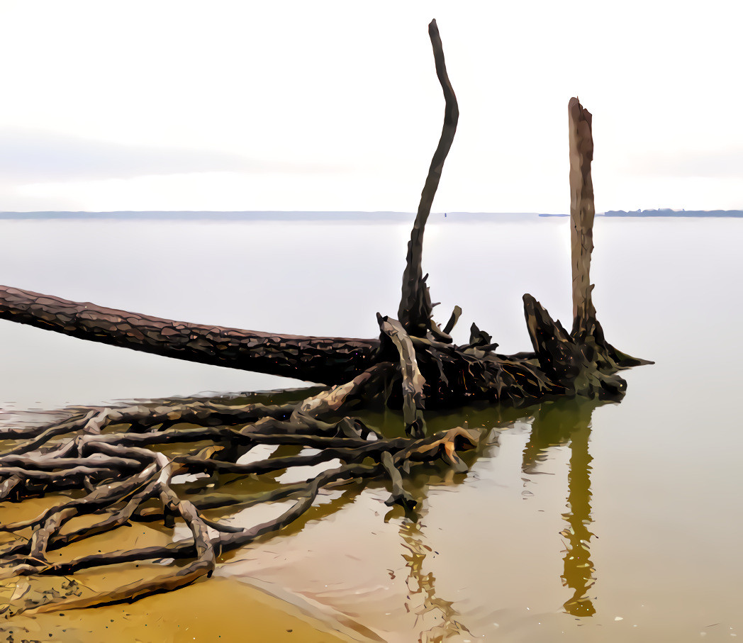 The York River, Virginia