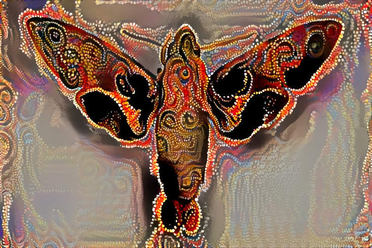 African Moth