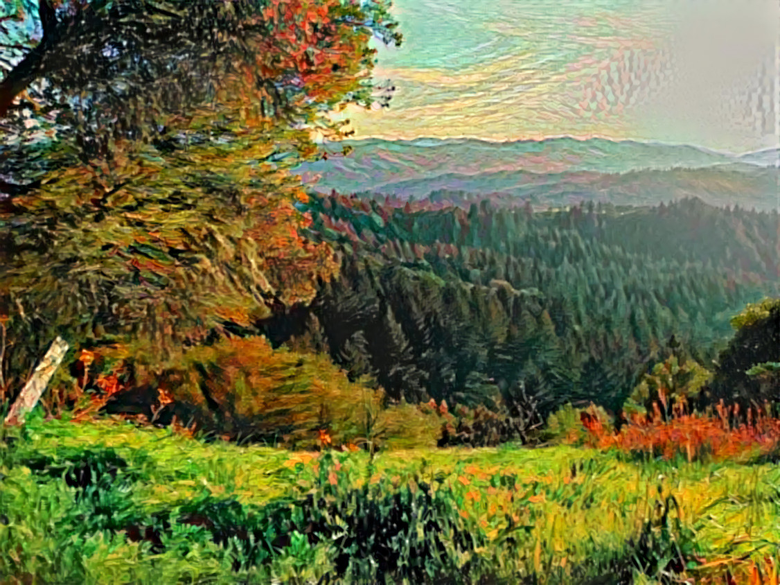 Santa Cruz Mountains, California.  Source is my own photo.