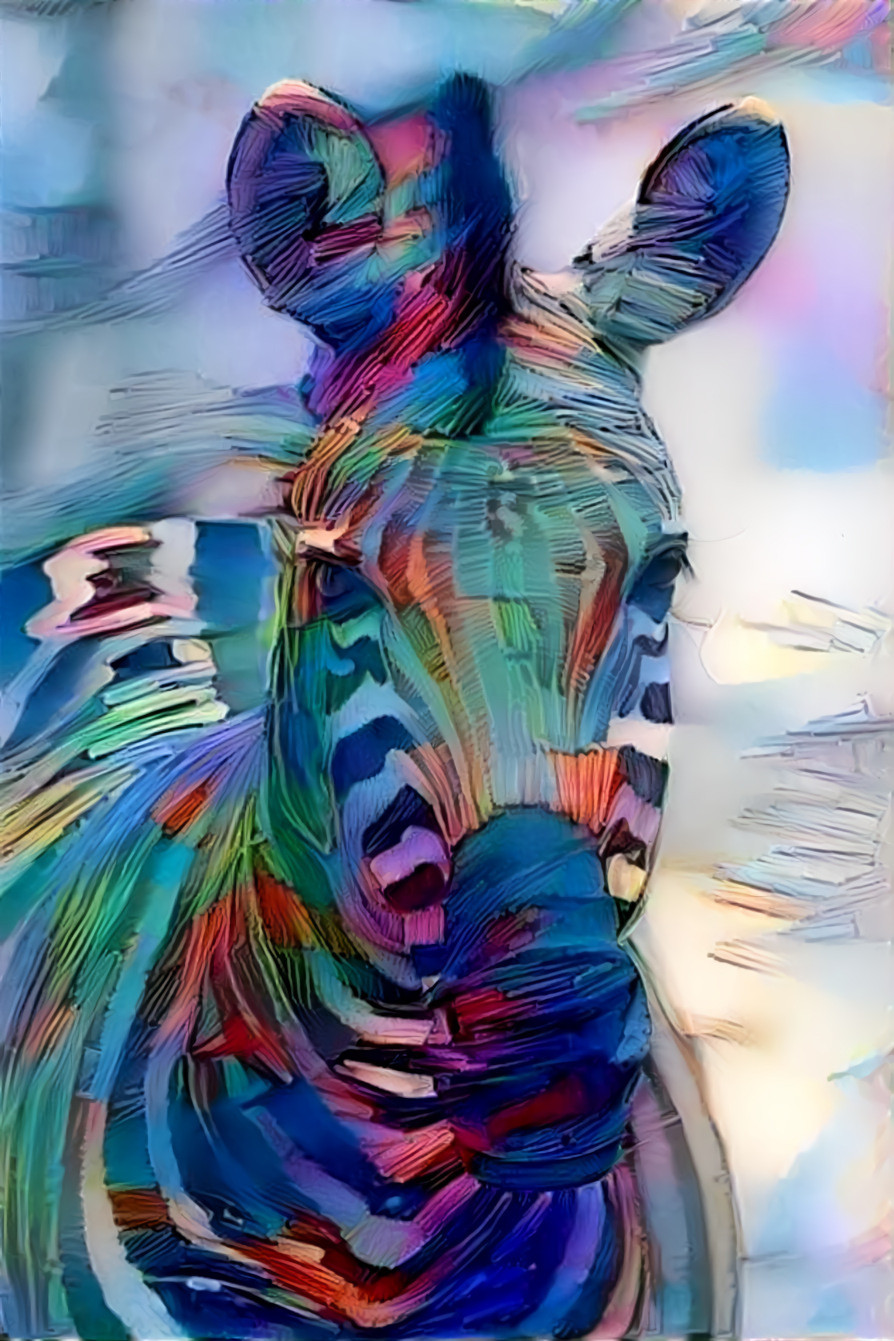 colorful zebra