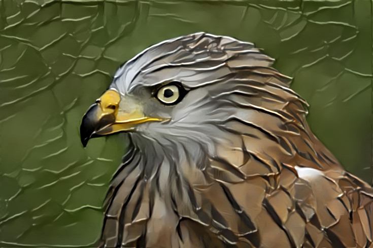 Deep Dream: Red Kite