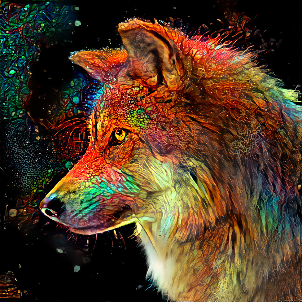 Wolf II