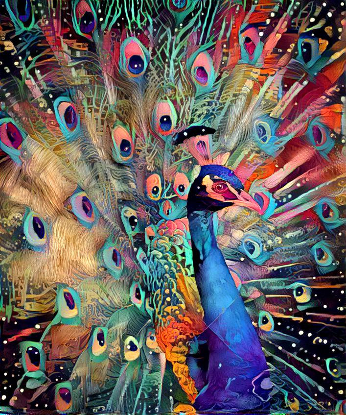 Peacock