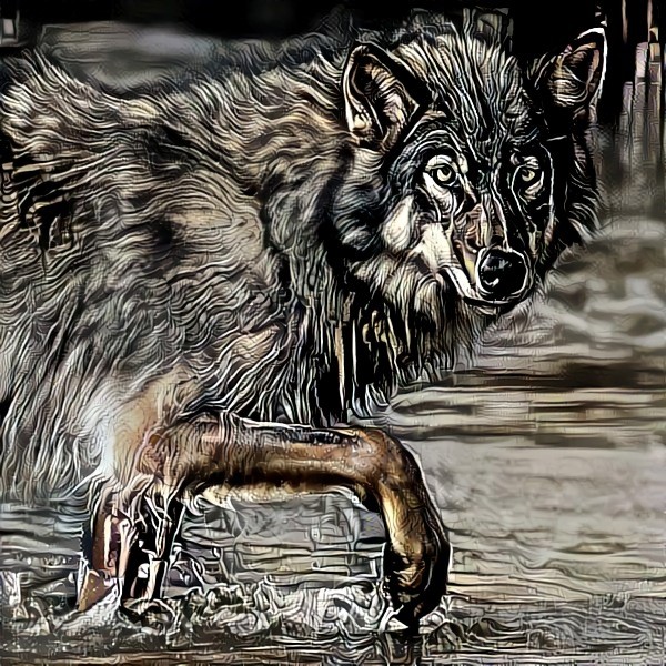 Wolf