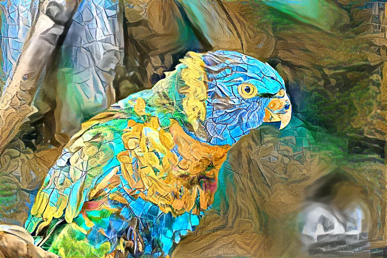 Macaw Parrot [1.2MP]