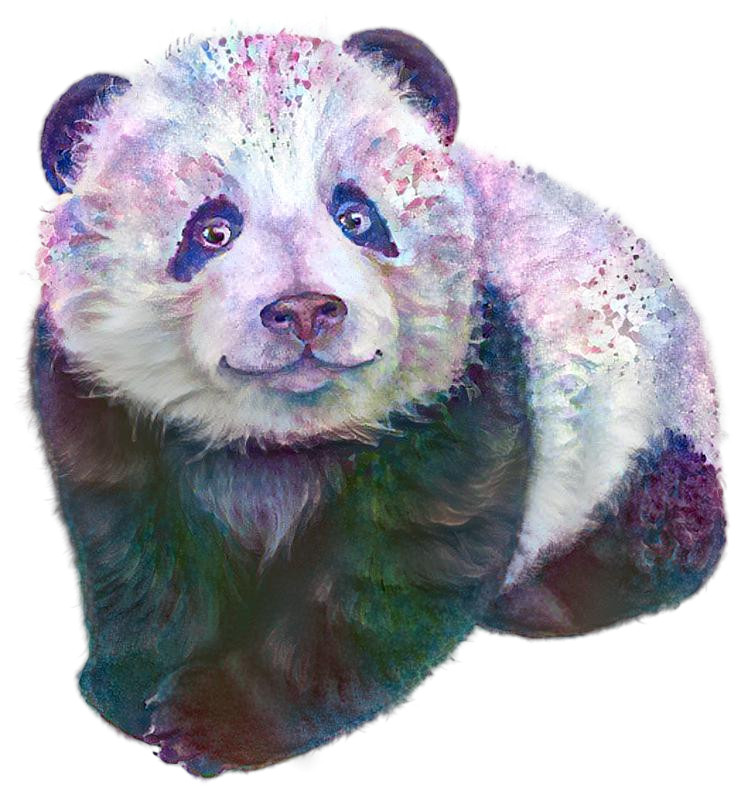 Panda Colors