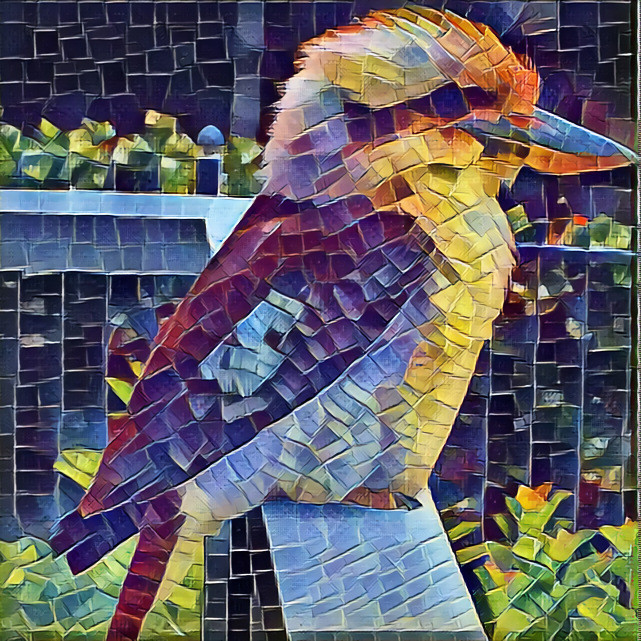 Kolored Kookaburra