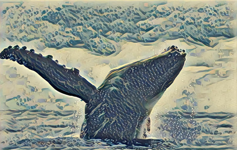 Humpback whale breaching