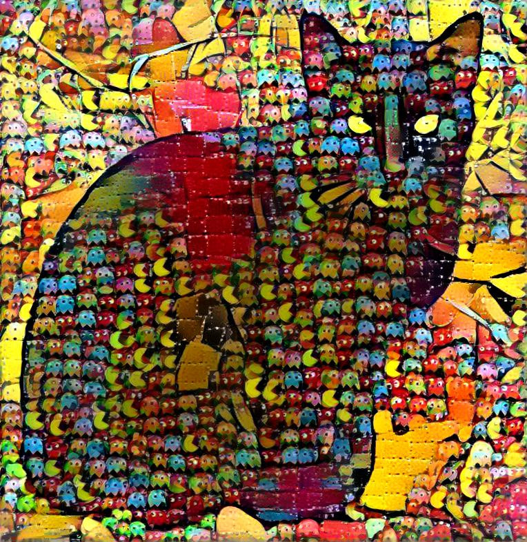 Big Black Blotter Cat 