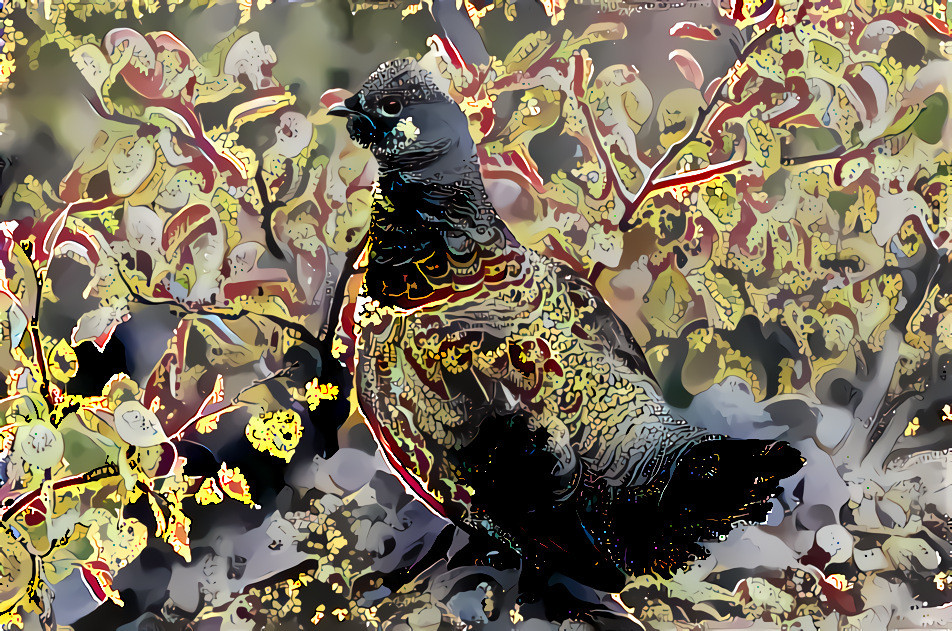 Spruce grouse 1 wallpaper 3