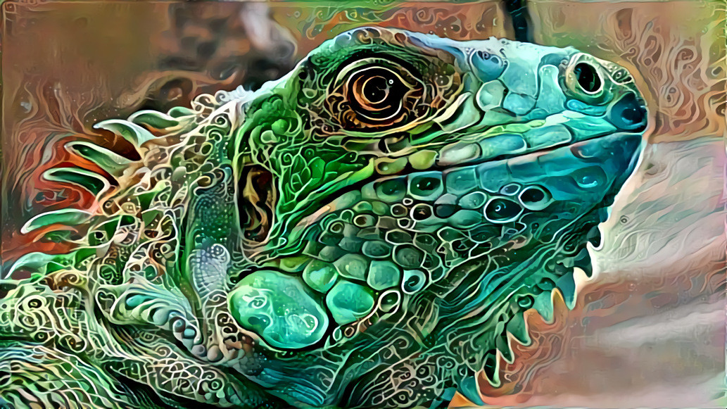 Iguana - Pixabay image