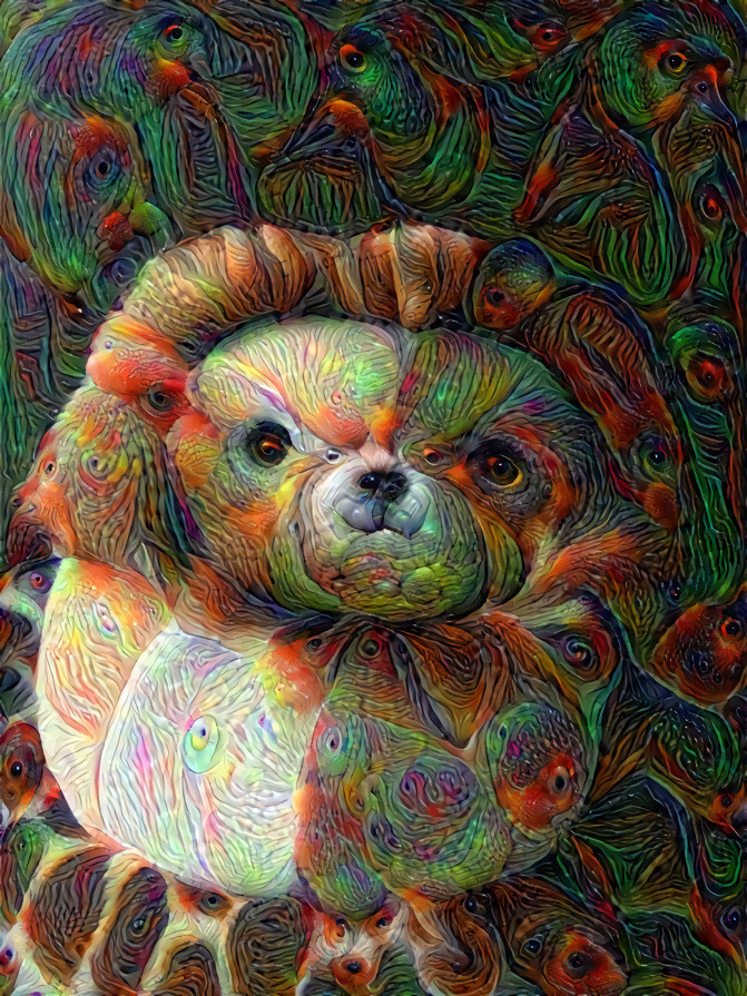 First 5/5 deep dream