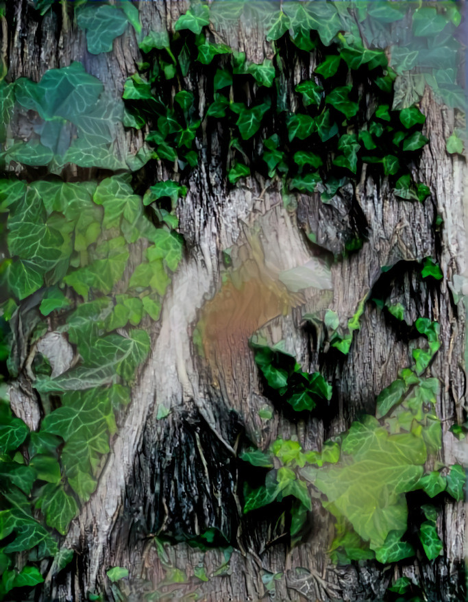 TREE SPIRIT, IVY version 2