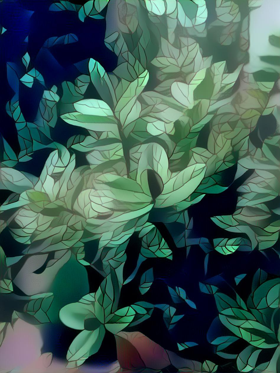 Leafy Leaves