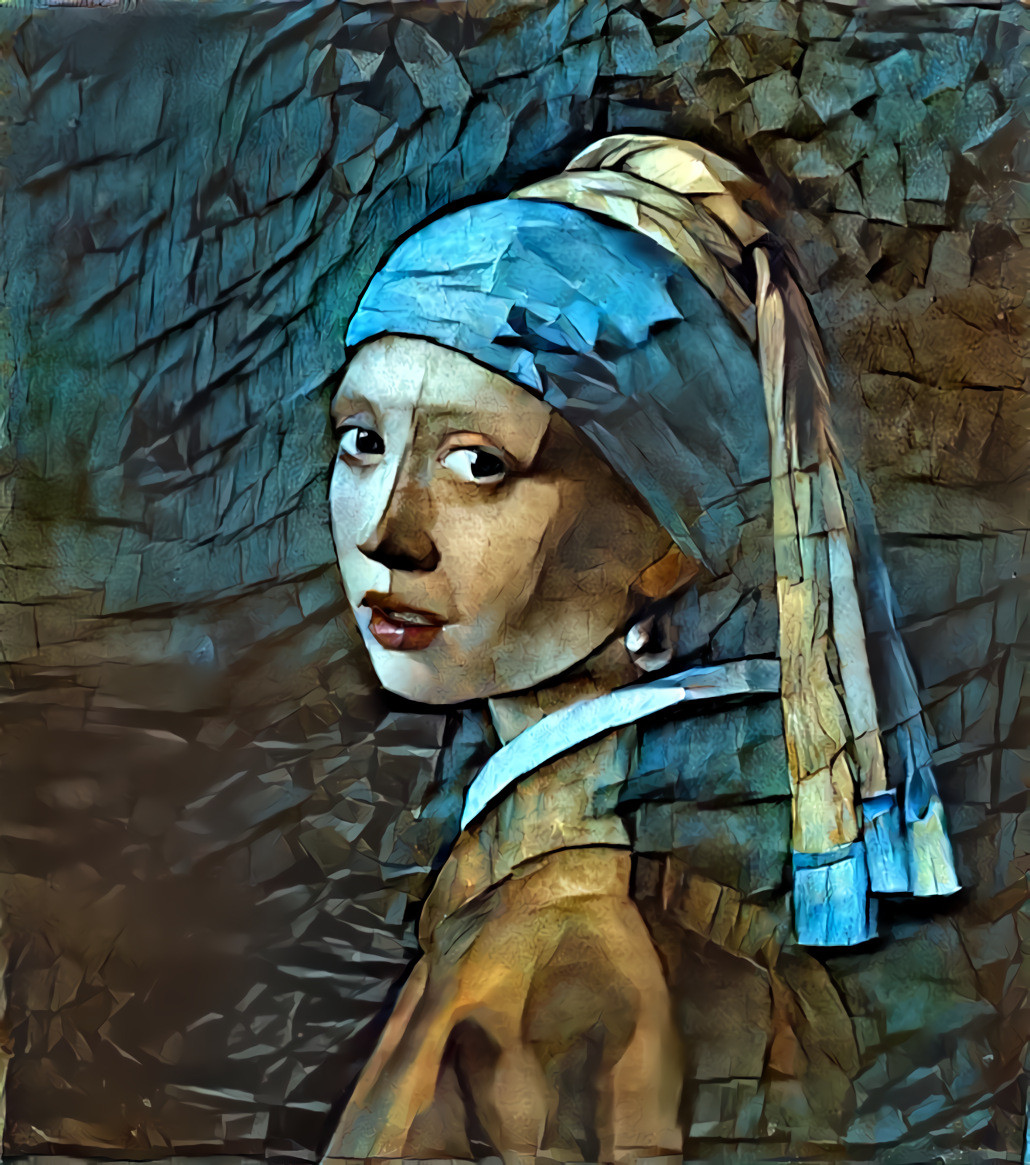 vermeer1x