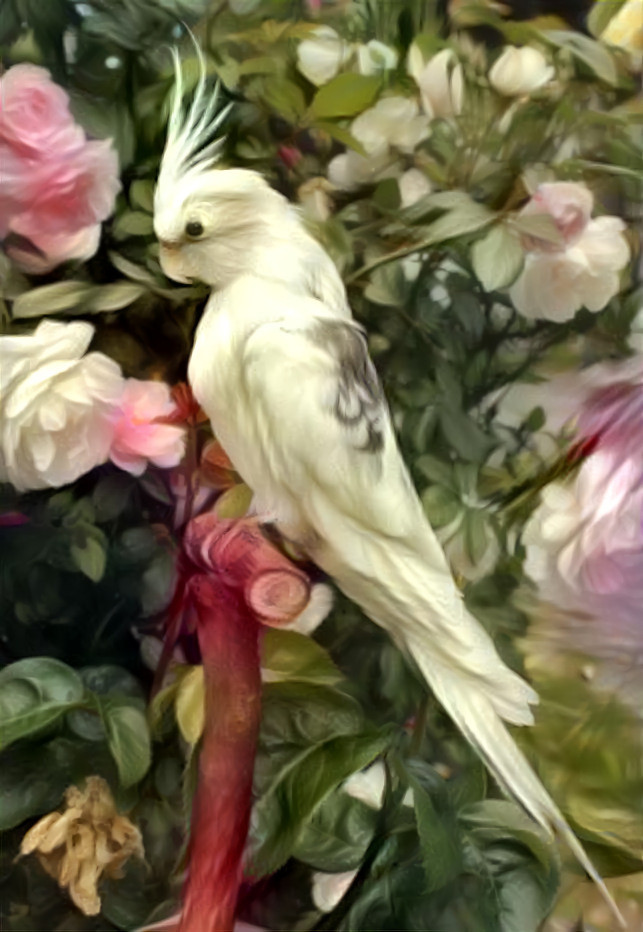 Bird Amongst Flowers