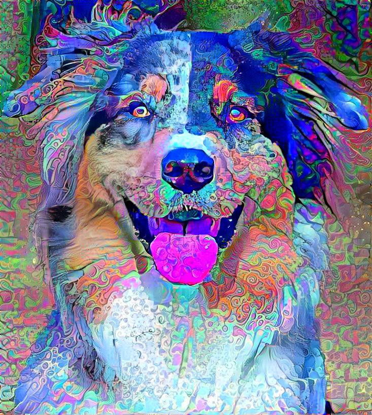 bluemerleaussie